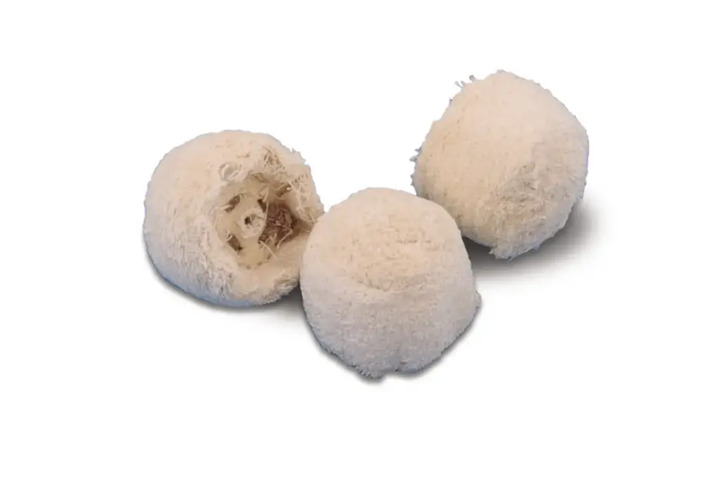 [17-834] MUSLIN GOBLET BUFF 4" x 2"